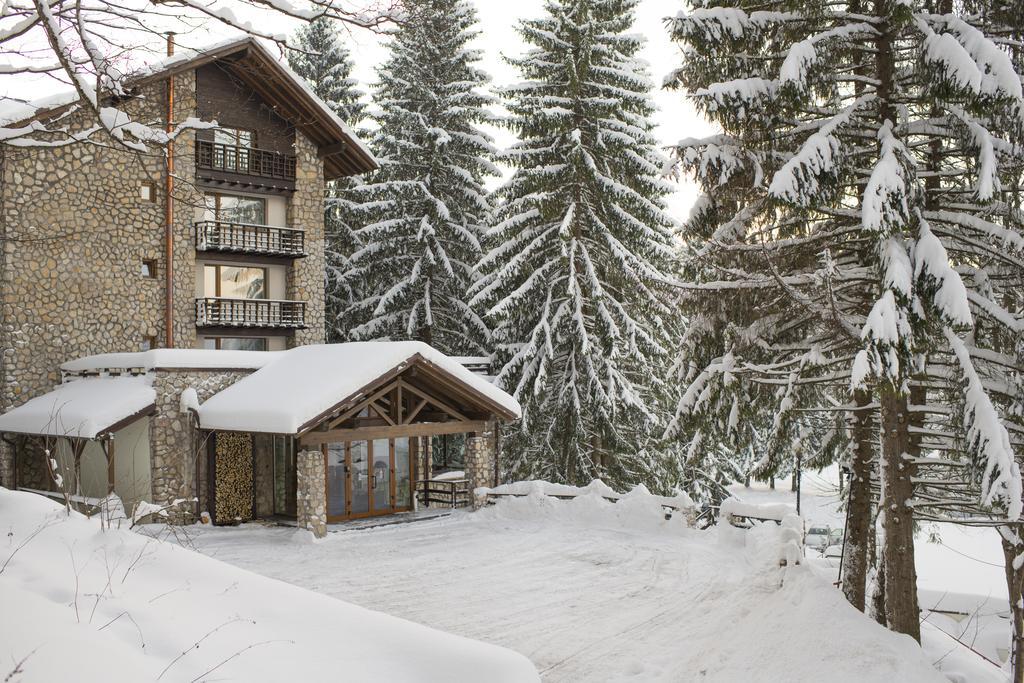 Ana Hotels Bradul Poiana Brasov Εξωτερικό φωτογραφία